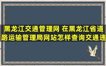 黑龙江交通管理网 在黑龙江省道路运输管理局网站怎样查询交通违章